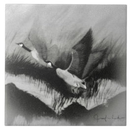 Azulejo De Cerâmica Gansos na Mist