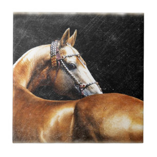Azulejo De Cerâmica Garanhão de Akhal-teke do Palomino