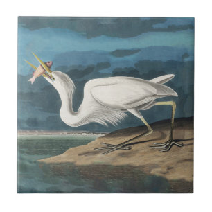 Azulejo De Cerâmica Garça Branca Grande de Audubon: Ave Costeira Vinta