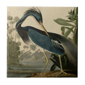 Azulejo De Cerâmica Garça-real de Louisiana