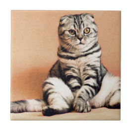 Azulejo De Cerâmica Gatinho Bonito Desenterrado