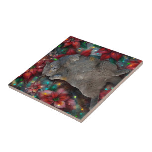 Azulejo De Cerâmica Gatinho de gatos-do-mato-curto britânico Poinsetti