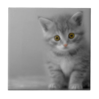 Azulejo De Cerâmica Gatinho Doce