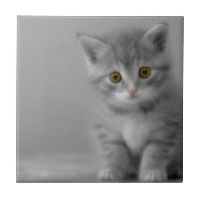 Azulejo De Cerâmica Gatinho Doce (Frente)