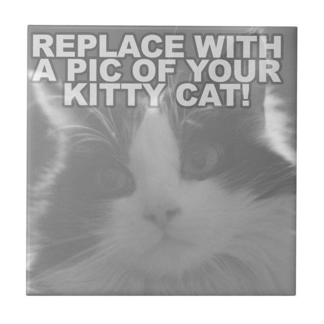 Azulejo De Cerâmica Gatinho Kitty Personalizado (Frente)