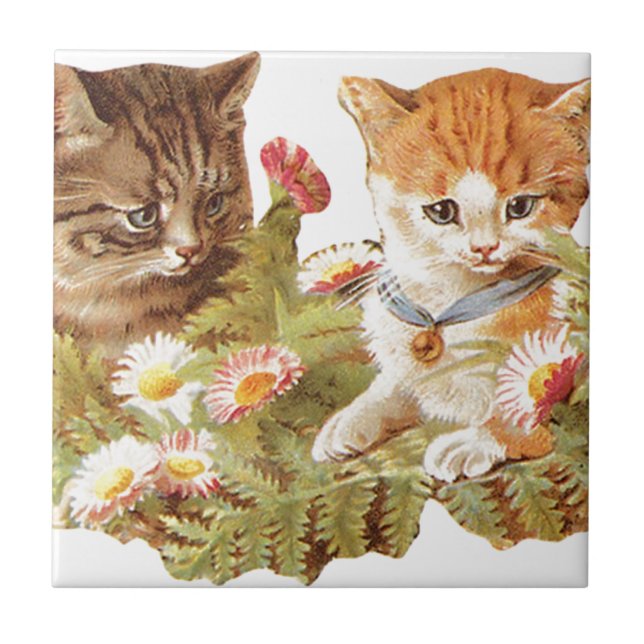 Azulejo De Cerâmica Gatinhos (Frente)