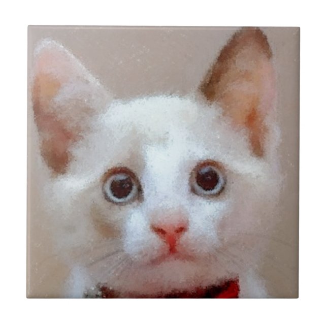 Azulejo De Cerâmica gato 3 (Frente)