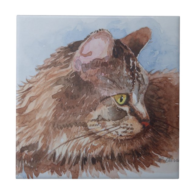 Azulejo De Cerâmica Gato 5352 (Frente)