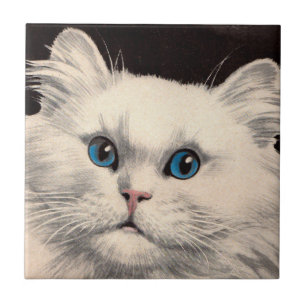 Azulejo De Cerâmica gato branco com olhos azuis