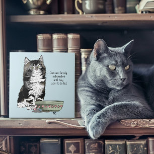 Azulejo De Cerâmica Gato Cinza Tabby Independente Azul Fofo Engraçado
