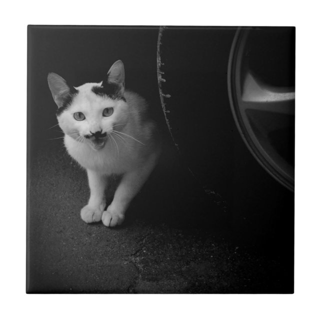 Azulejo De Cerâmica Gato com bigode (Frente)