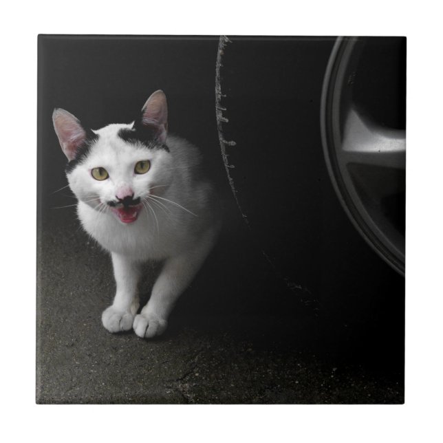 Azulejo De Cerâmica Gato com bigode (Frente)