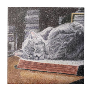 Azulejo De Cerâmica Gato da Livraria