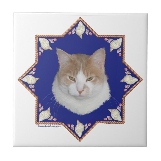 Azulejo De Cerâmica Gato de Alfie Náutico (Frente)