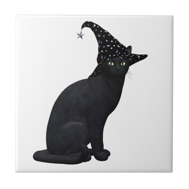 Azulejo De Cerâmica Gato de Bruxa Negra (Frente)