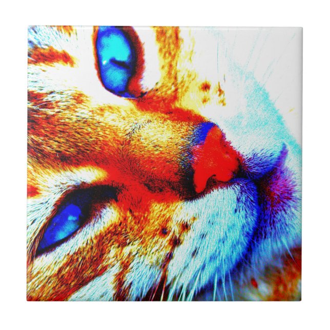 Azulejo De Cerâmica Gato de Molly (Frente)