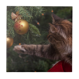 Azulejo De Cerâmica Gato de Natal