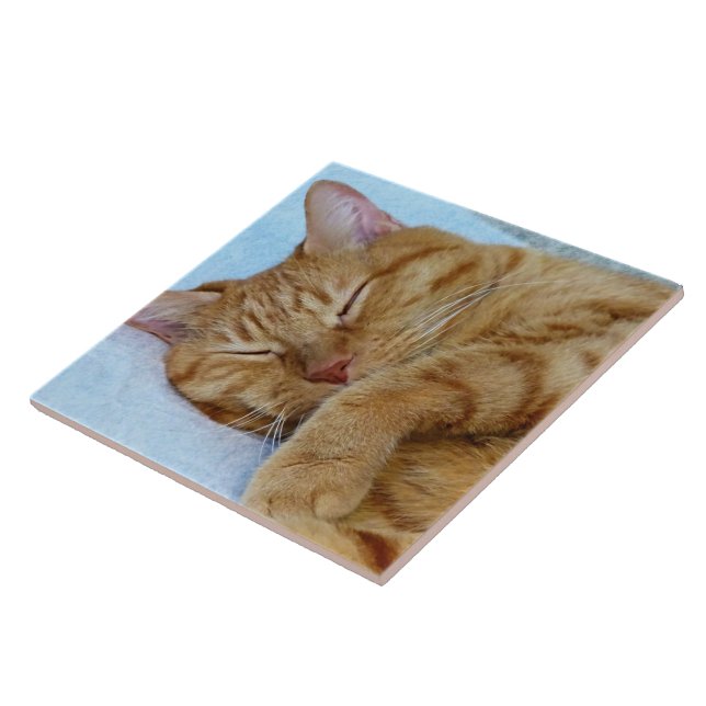 Azulejo De Cerâmica Gato Dormindo (Lateral)