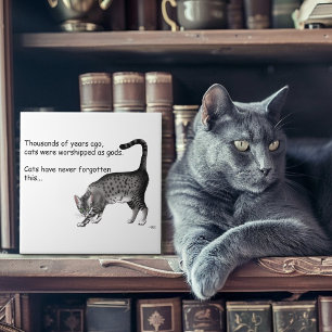 Azulejo De Cerâmica Gato Egípcio Mau Cinza Caprichoso Humorístico