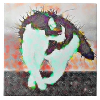 Azulejo De Cerâmica Gato em um telhado quente da lata