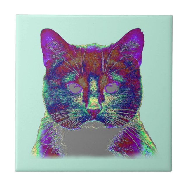 Azulejo De Cerâmica Gato Estranho (Frente)