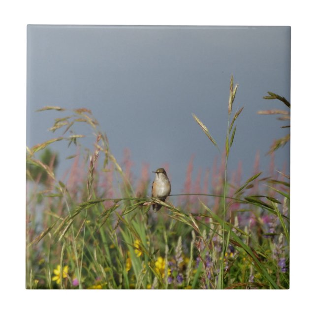 Azulejo De Cerâmica Gato-gordo (Frente)