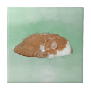 Azulejo De Cerâmica Gato Laranja Dorminhoco