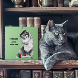 Azulejo De Cerâmica Gato Maine Coon Engraçado e Fofo Humor Verde