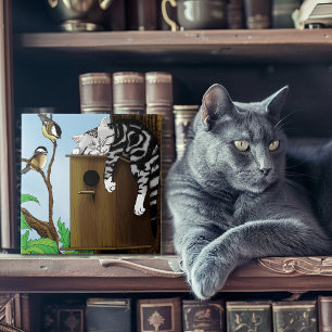 Azulejo De Cerâmica Gato Malhado Fofo Dormindo em Casa de Pássaros Eng