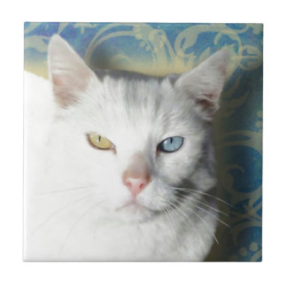 Azulejo De Cerâmica Gato - Patrick o Gato Branco