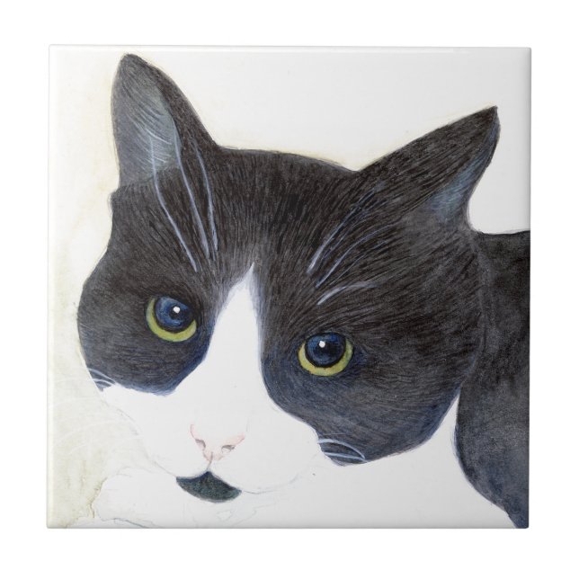Azulejo De Cerâmica Gato Preto e Branco (Frente)