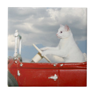 Azulejo De Cerâmica Gato que conduz um carro