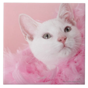 Azulejo De Cerâmica Gato que veste a boa de pena