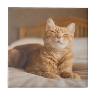 Azulejo De Cerâmica Gato sonolento das imagens de Getty