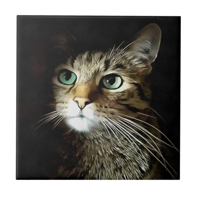 Azulejo De Cerâmica Gato Tabby Com Olhos Verdes Isolados A Preto (Frente)
