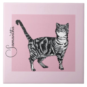 Azulejo De Cerâmica Gato Tabby Rosa Pastel Nome de Meninas Rosa