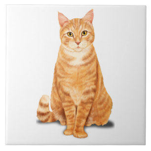 Azulejo De Cerâmica Gato Tigre Tabby Laranja Gengibre Personalizado