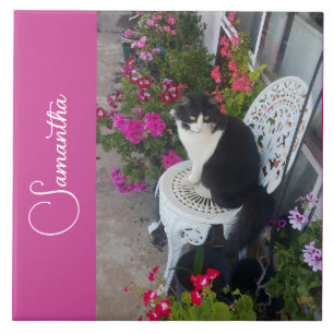 Azulejo De Cerâmica Gato Tuxedo Gatos e Flores Nome de Meninas Rosa Es