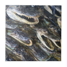 Azulejo de cerâmica Gator Head