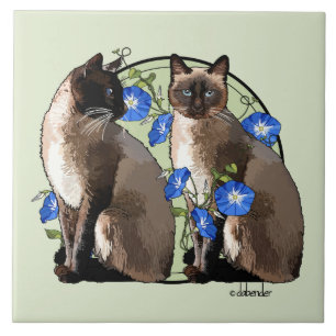 Azulejo De Cerâmica Gatos Siamese com corriolas