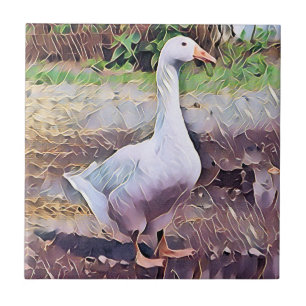 AZULEJO DE CERÂMICA GEESE