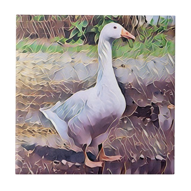AZULEJO DE CERÂMICA  GEESE (Frente)