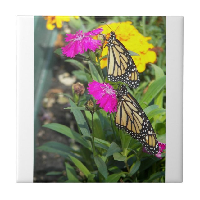 Azulejo De Cerâmica Gêmeos Monarcas #2-azulejo (Frente)