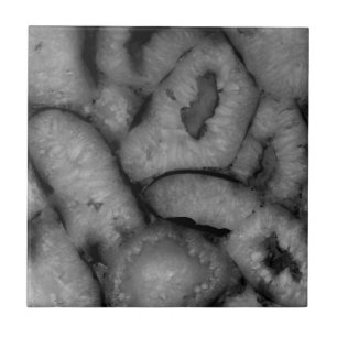 Azulejo De Cerâmica Gemstones brancos pretos do Geode Agate Quartz