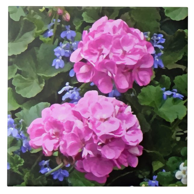 Azulejo De Cerâmica Geraniums e Periwinkle (Frente)