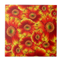 Gerbera Daisies brilhante
