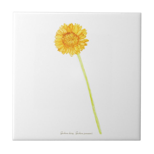 Azulejo De Cerâmica Gerbera Daisy (Frente)