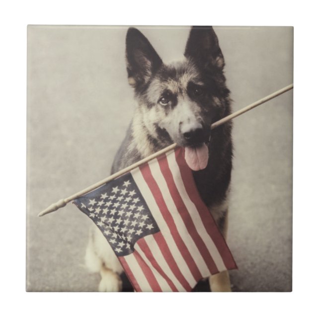 Azulejo De Cerâmica German shepherd com Sinalizador dos EUA (Frente)