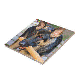 Azulejo De Cerâmica German shepherd por Shirley Taylor