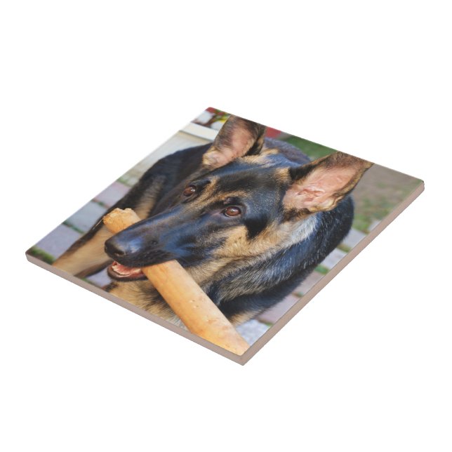 Azulejo De Cerâmica German shepherd por Shirley Taylor (Lateral)